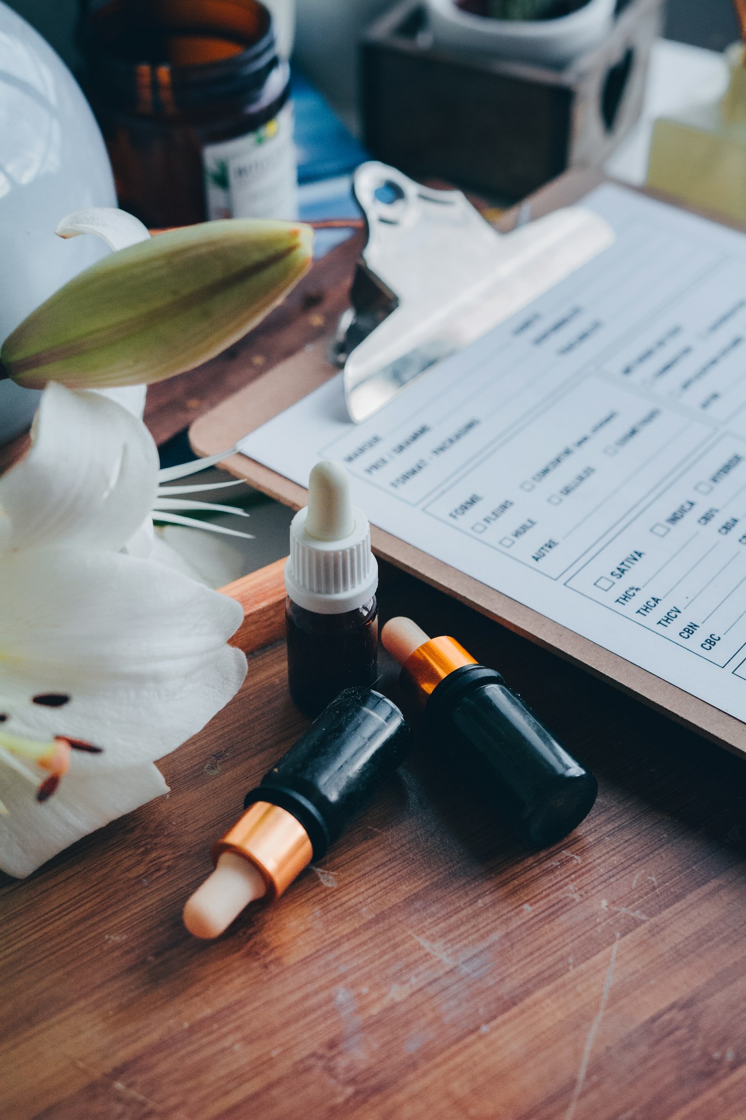 A Beginners Guide To Cannabinoid Synergy
